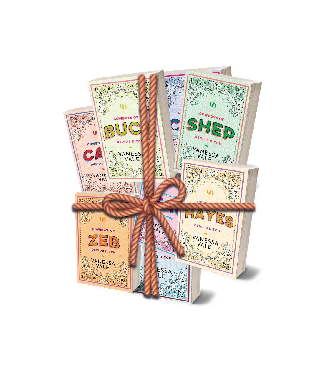 Cowboys of Devil's Ditch Complete Series (Books 1 - 9) DISCREET PAPERBACK BUNDLE