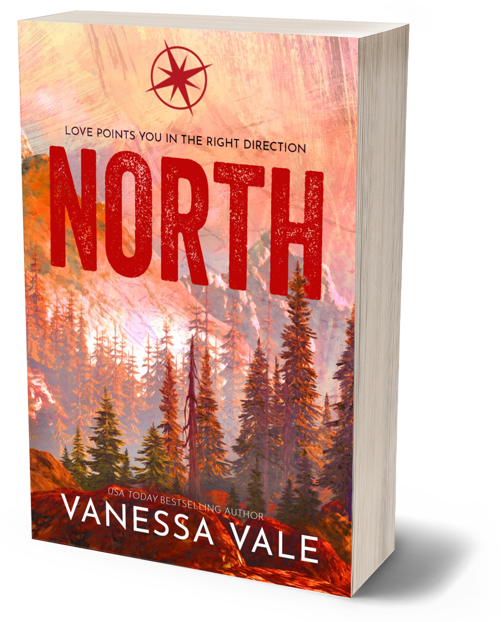 North - VINTAGE PAPERBACK #2