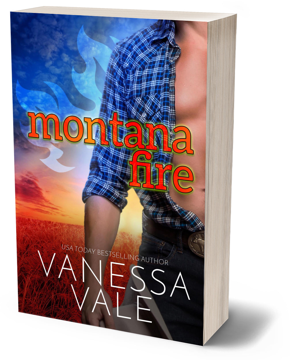 Montana Fire PAPERBACK (Vintage title for Misadventures of a Single Mom)