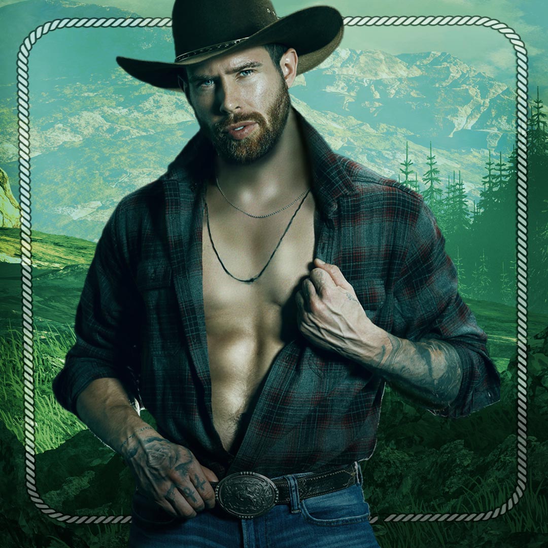 Bachelor Auction Series EBOOK Bundle