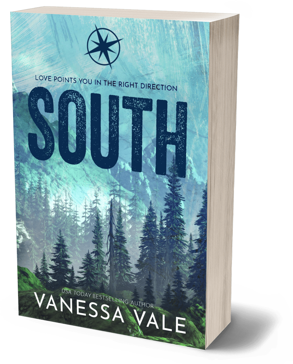 South - VINTAGE PAPERBACK #2