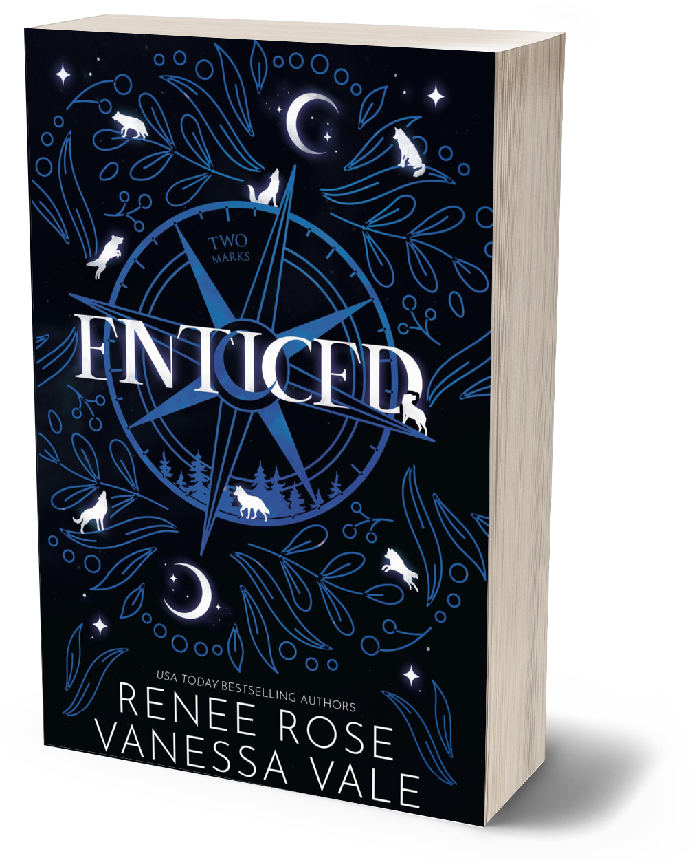 Enticed DISCREET PAPERBACK