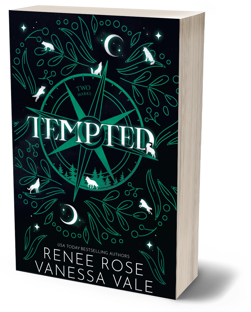 Two Marks Book 2: Tempted - Paperback