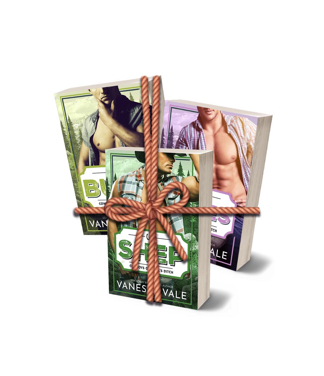 Cowboys of Devil's Ditch - Books 7 - 9: PAPERBACK BUNDLE